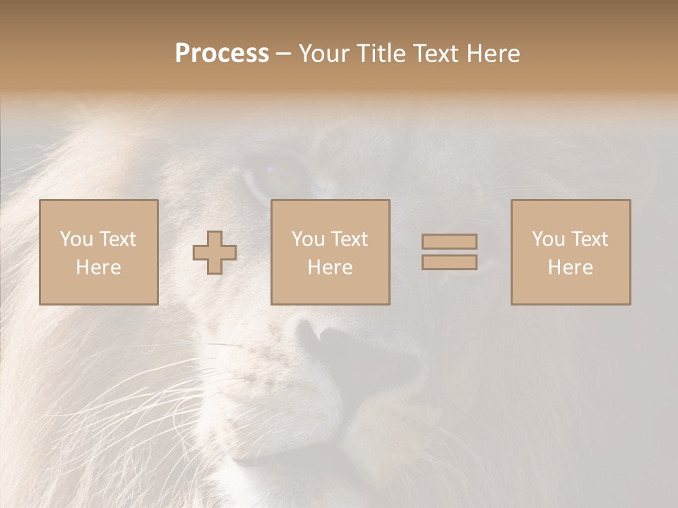 Feline Aggressive Pride PowerPoint Template