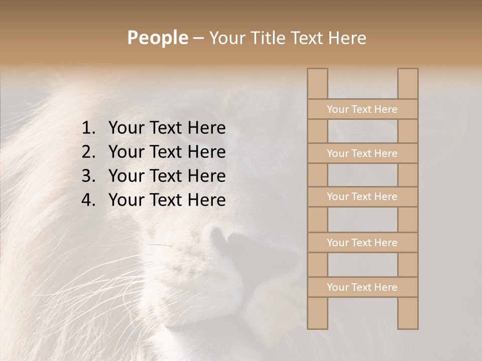 Feline Aggressive Pride PowerPoint Template