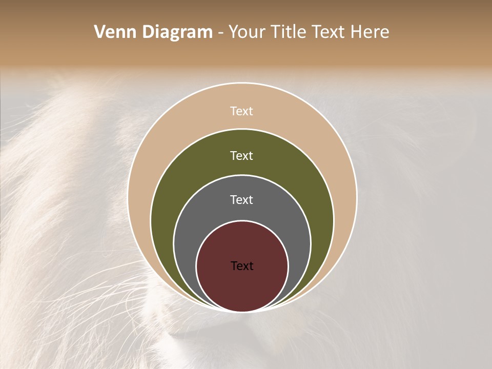 Feline Aggressive Pride PowerPoint Template