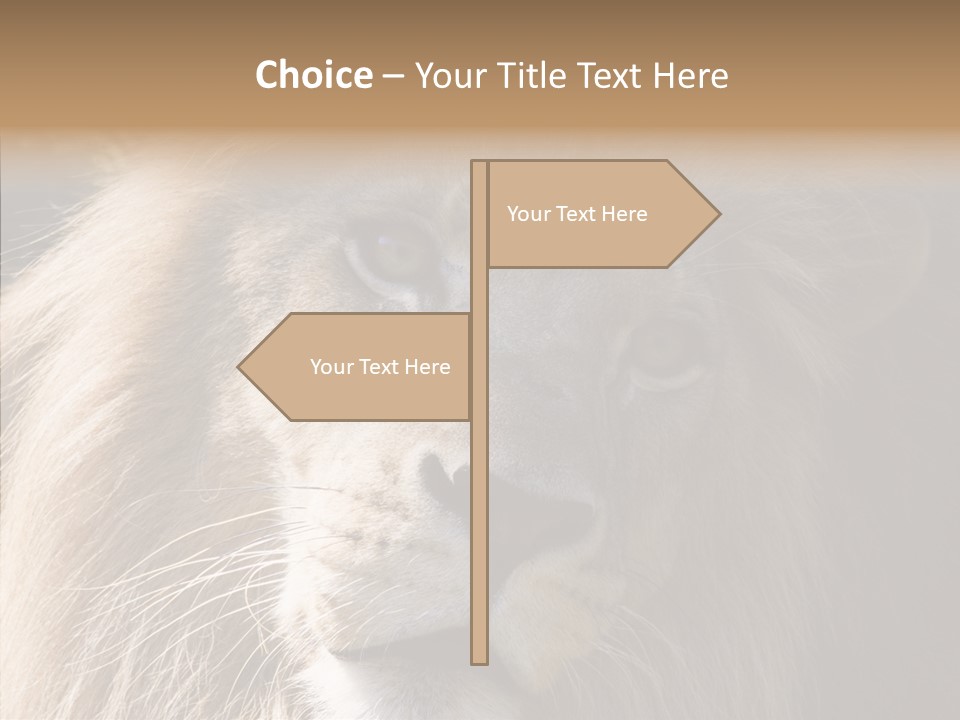 Feline Aggressive Pride PowerPoint Template