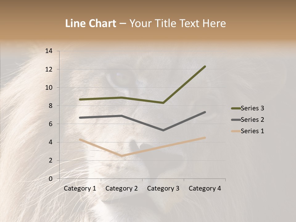 Feline Aggressive Pride PowerPoint Template