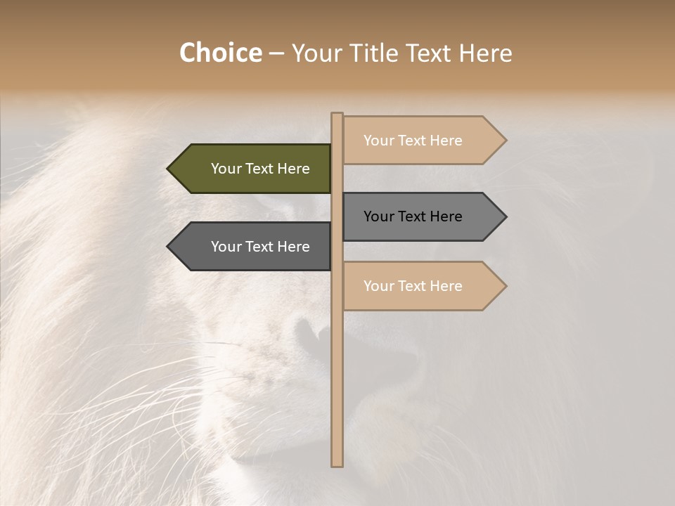Feline Aggressive Pride PowerPoint Template