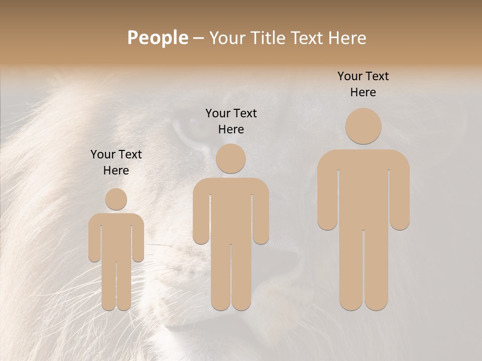 Feline Aggressive Pride PowerPoint Template