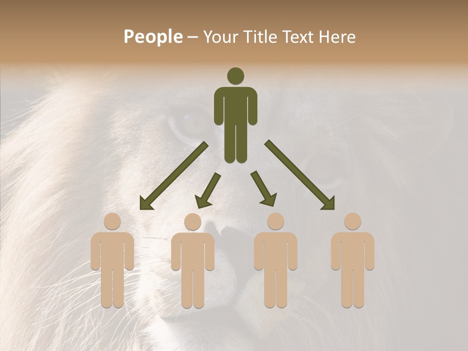 Feline Aggressive Pride PowerPoint Template