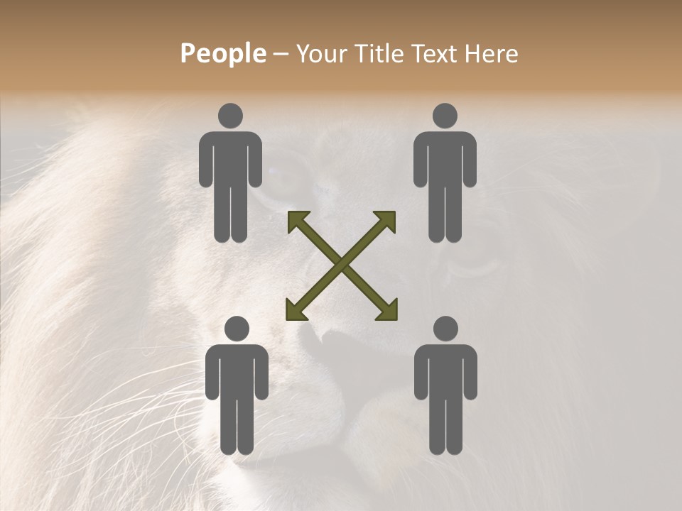 Feline Aggressive Pride PowerPoint Template