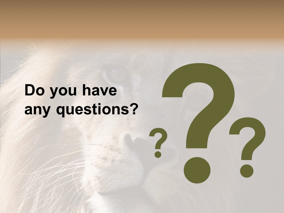 Feline Aggressive Pride PowerPoint Template