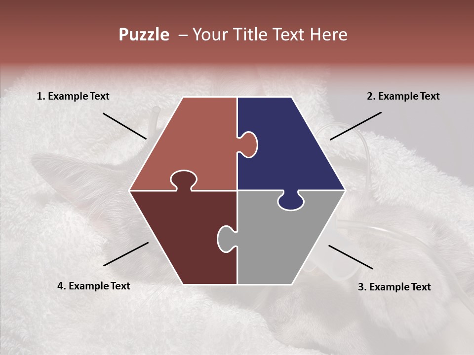 Post Op Surgery Kitten PowerPoint Template