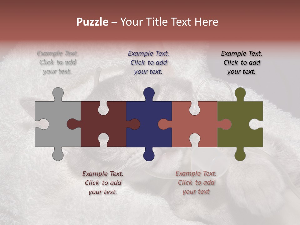 Post Op Surgery Kitten PowerPoint Template