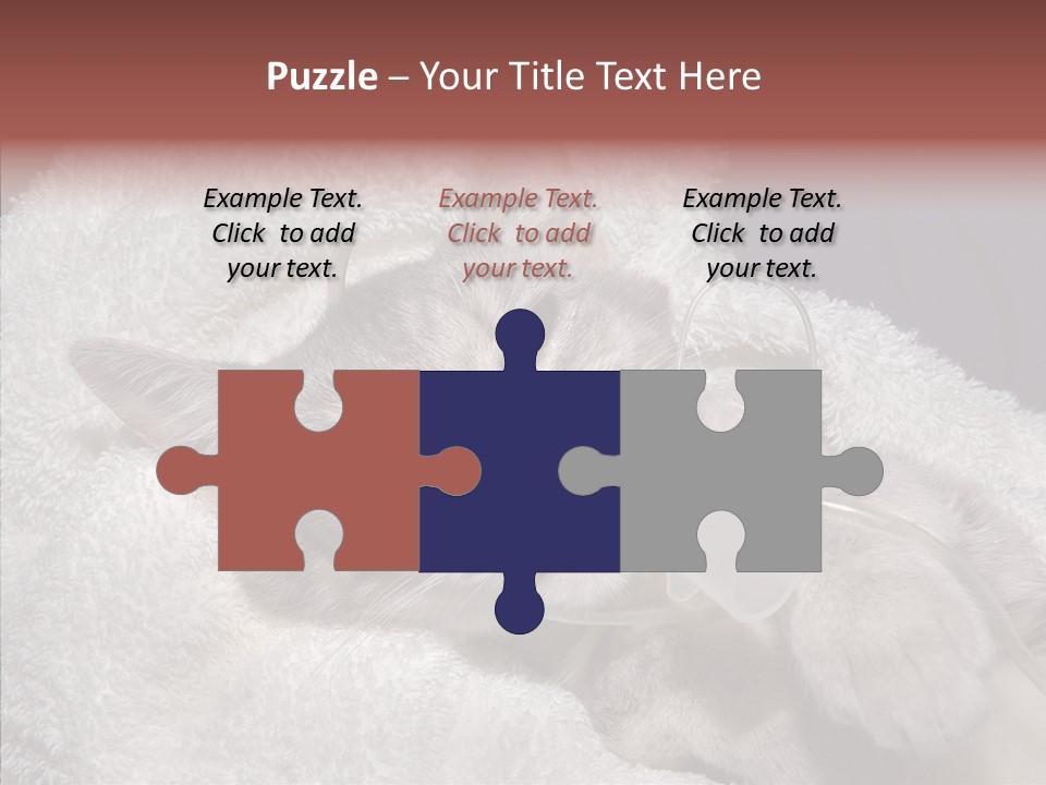 Post Op Surgery Kitten PowerPoint Template