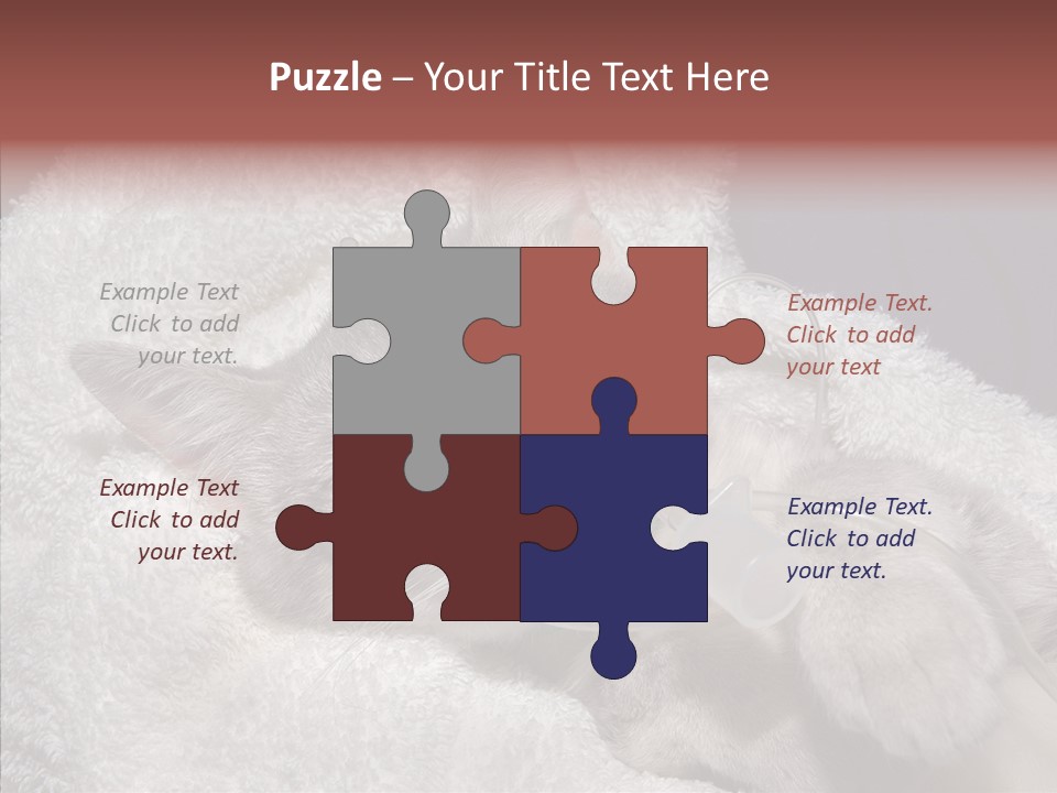 Post Op Surgery Kitten PowerPoint Template