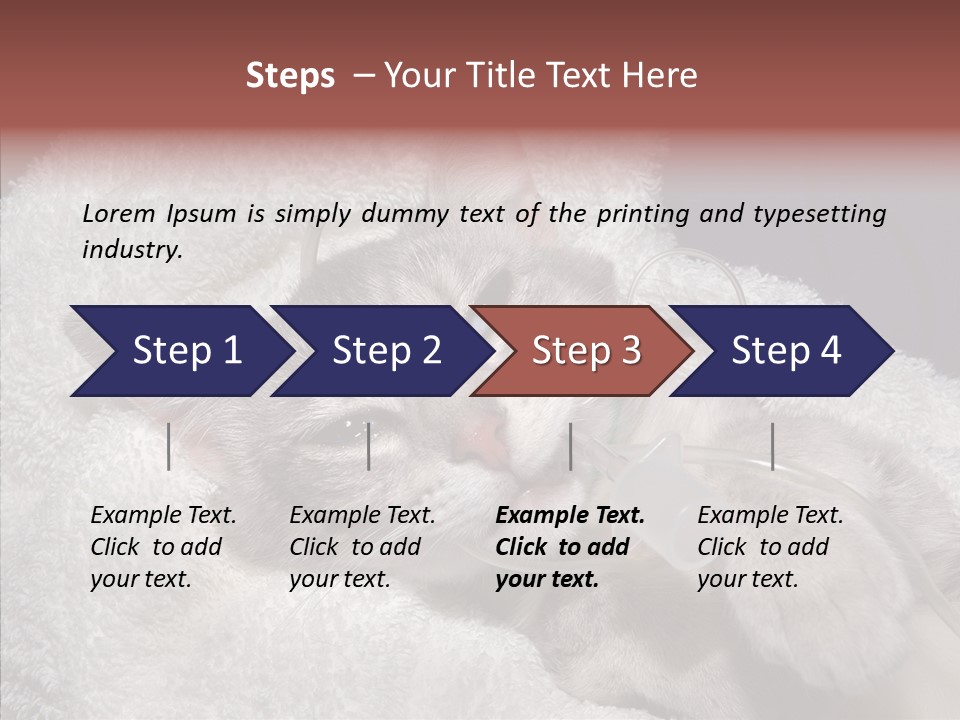 Post Op Surgery Kitten PowerPoint Template