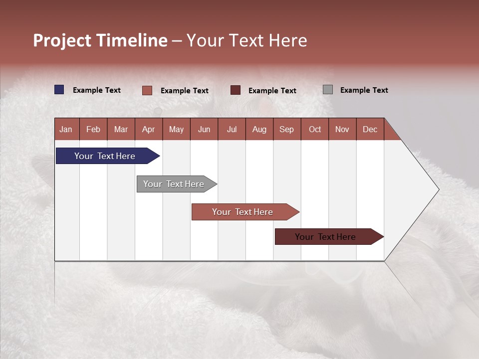 Post Op Surgery Kitten PowerPoint Template