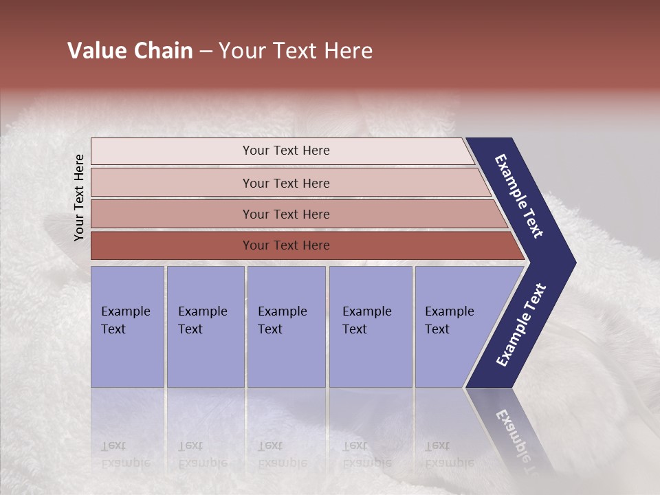 Post Op Surgery Kitten PowerPoint Template