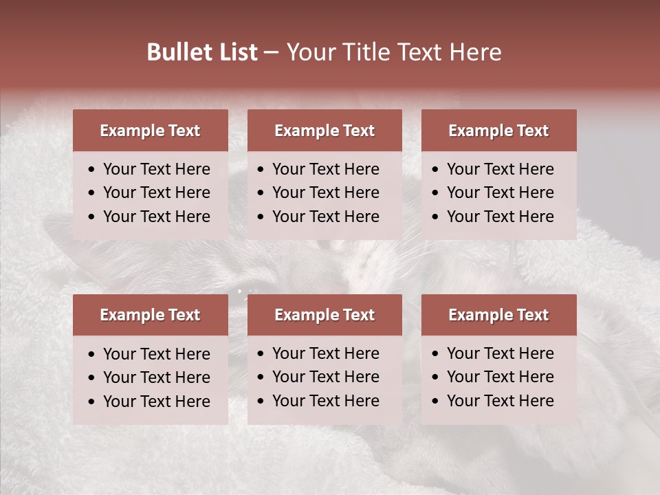 Post Op Surgery Kitten PowerPoint Template