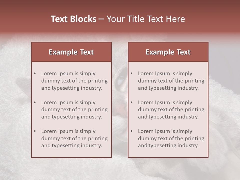Post Op Surgery Kitten PowerPoint Template