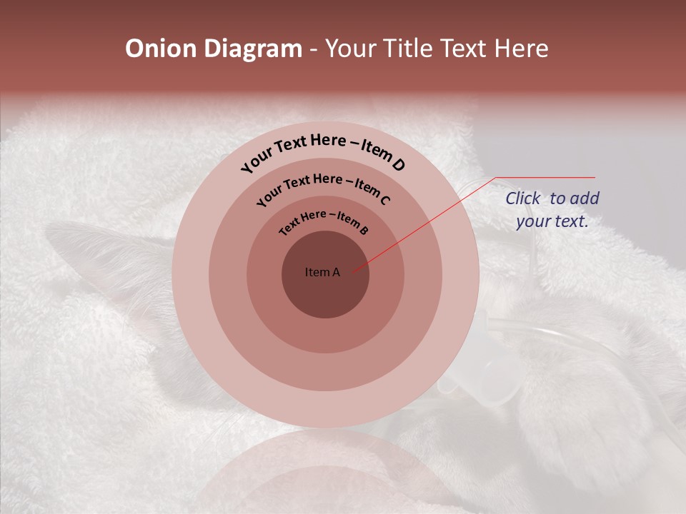 Post Op Surgery Kitten PowerPoint Template