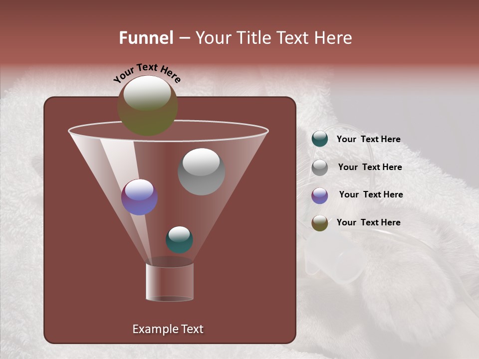 Post Op Surgery Kitten PowerPoint Template