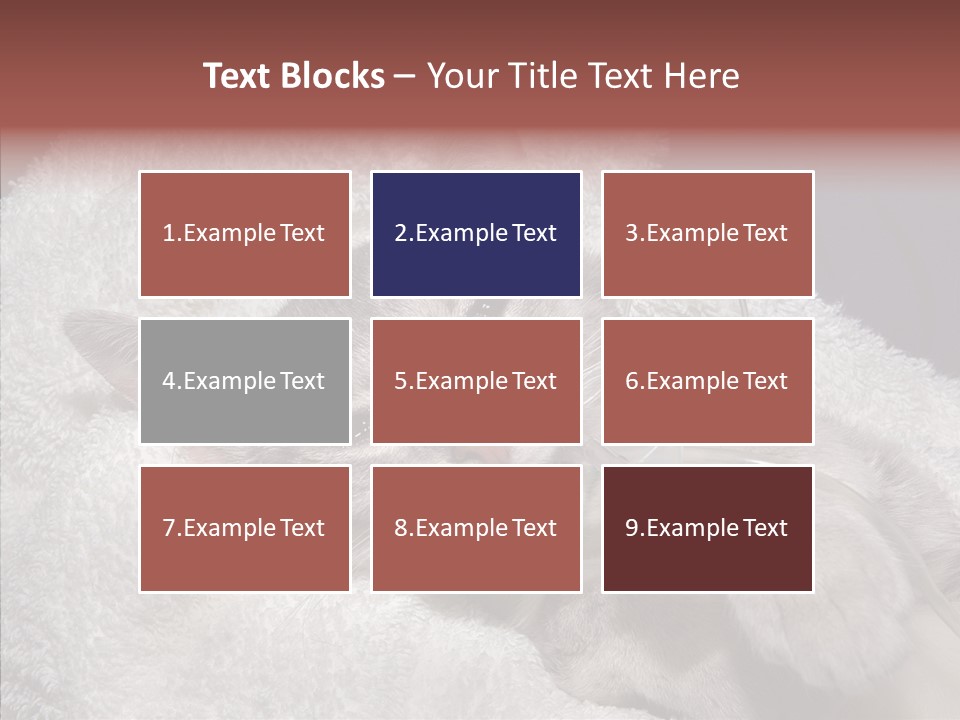 Post Op Surgery Kitten PowerPoint Template