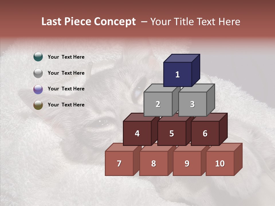 Post Op Surgery Kitten PowerPoint Template