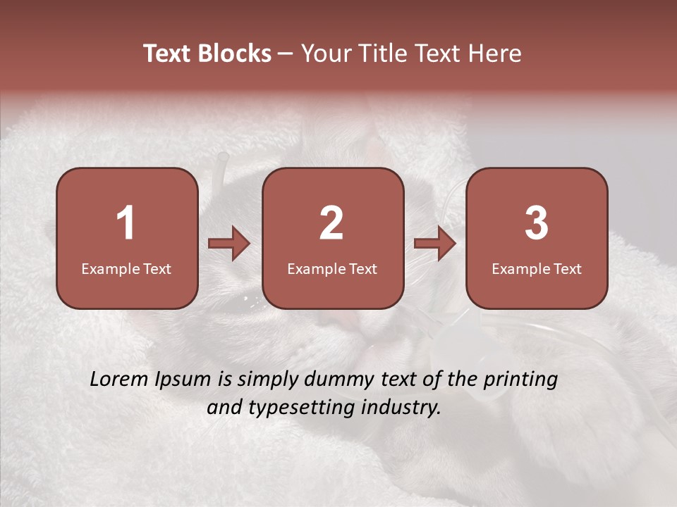 Post Op Surgery Kitten PowerPoint Template
