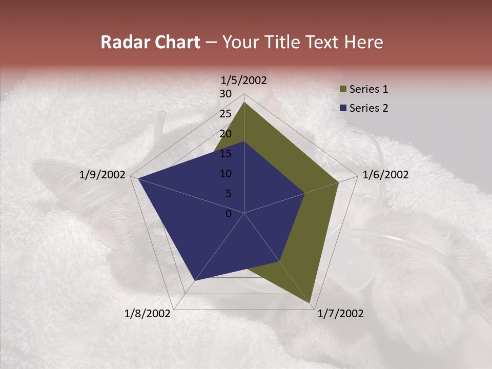 Post Op Surgery Kitten PowerPoint Template