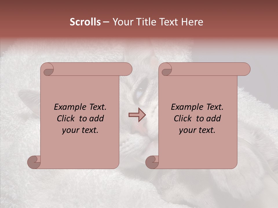 Post Op Surgery Kitten PowerPoint Template