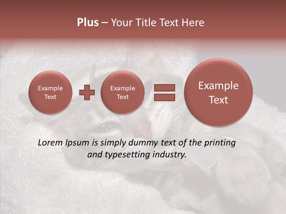 Post Op Surgery Kitten PowerPoint Template
