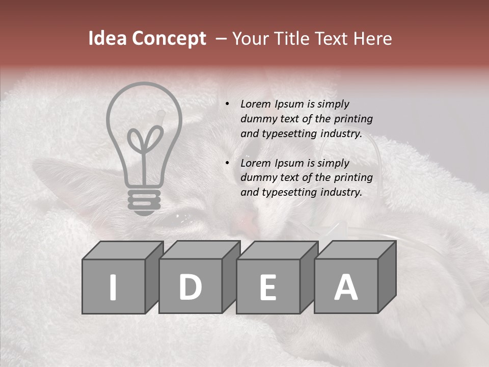 Post Op Surgery Kitten PowerPoint Template