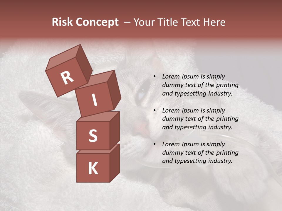 Post Op Surgery Kitten PowerPoint Template