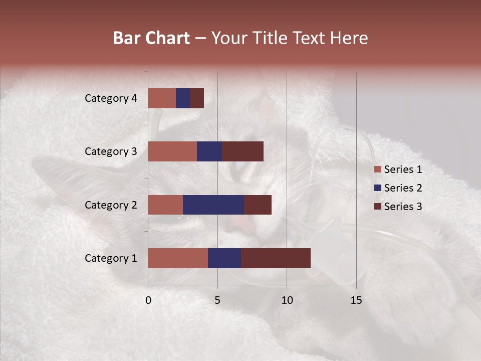 Post Op Surgery Kitten PowerPoint Template