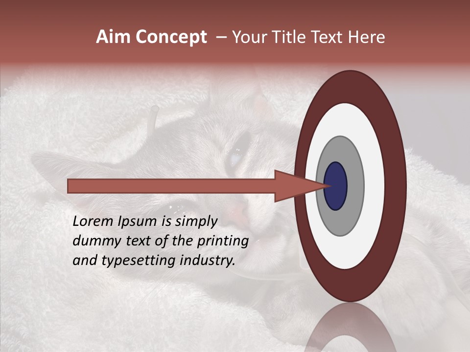 Post Op Surgery Kitten PowerPoint Template