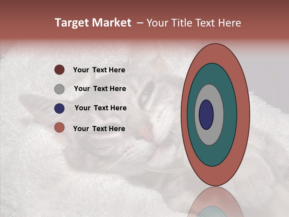 Post Op Surgery Kitten PowerPoint Template