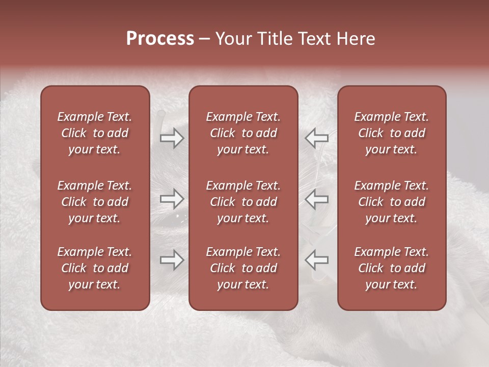 Post Op Surgery Kitten PowerPoint Template