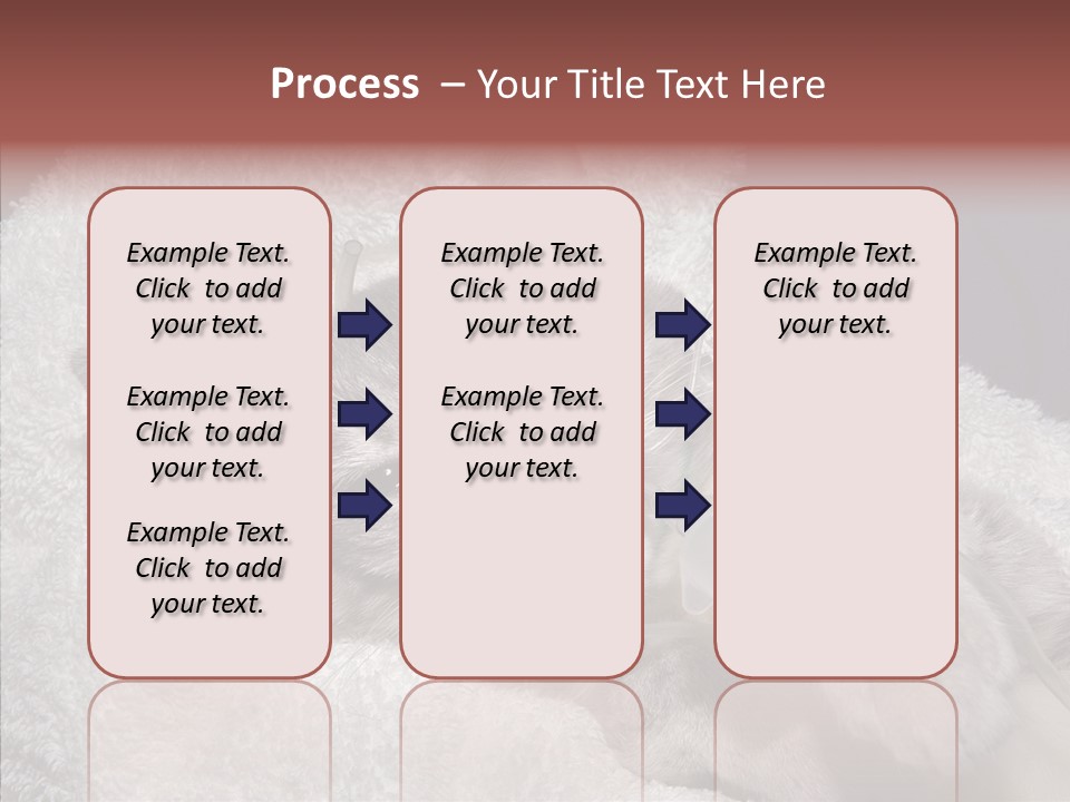 Post Op Surgery Kitten PowerPoint Template