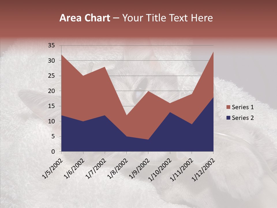 Post Op Surgery Kitten PowerPoint Template