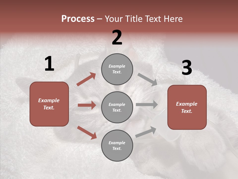 Post Op Surgery Kitten PowerPoint Template