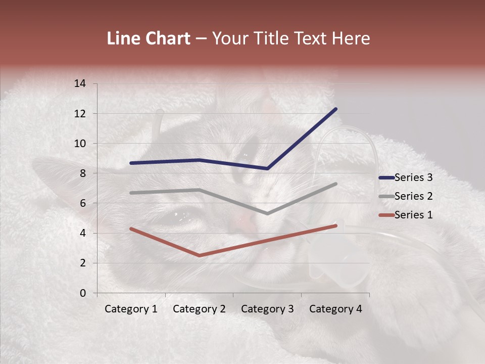 Post Op Surgery Kitten PowerPoint Template