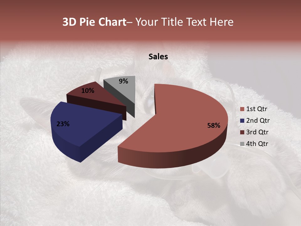 Post Op Surgery Kitten PowerPoint Template