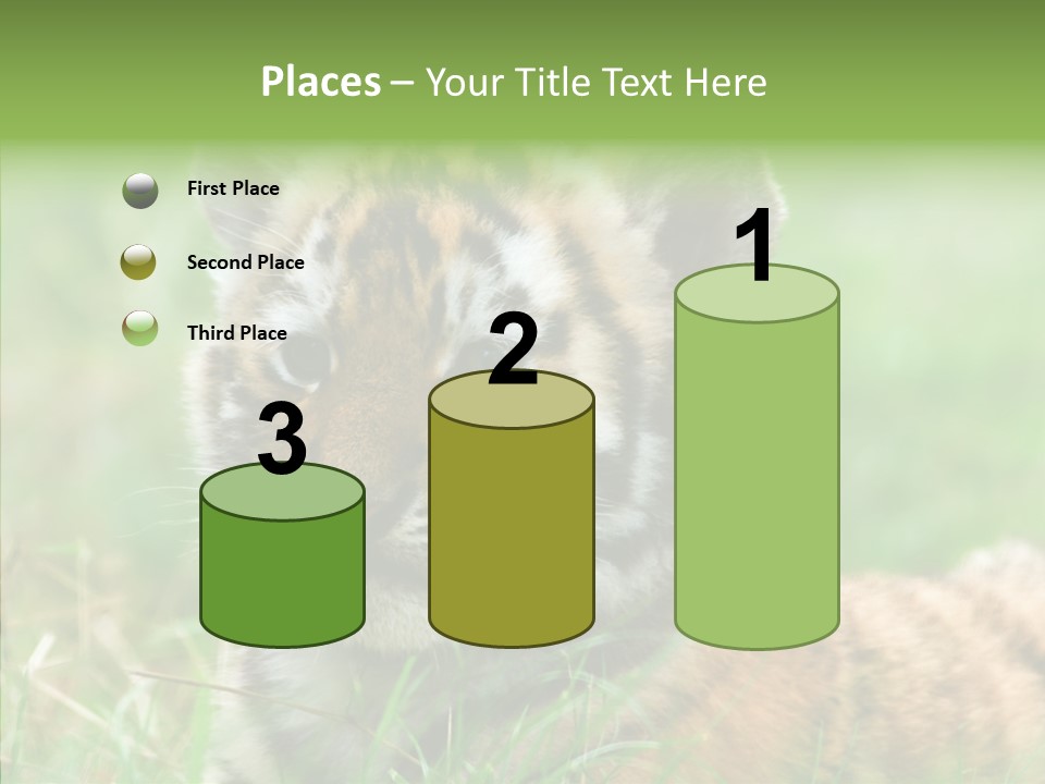 Tigris Nature White PowerPoint Template