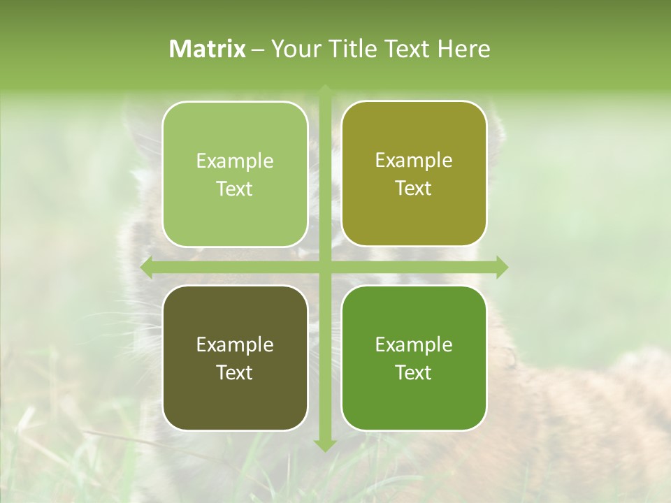 Tigris Nature White PowerPoint Template