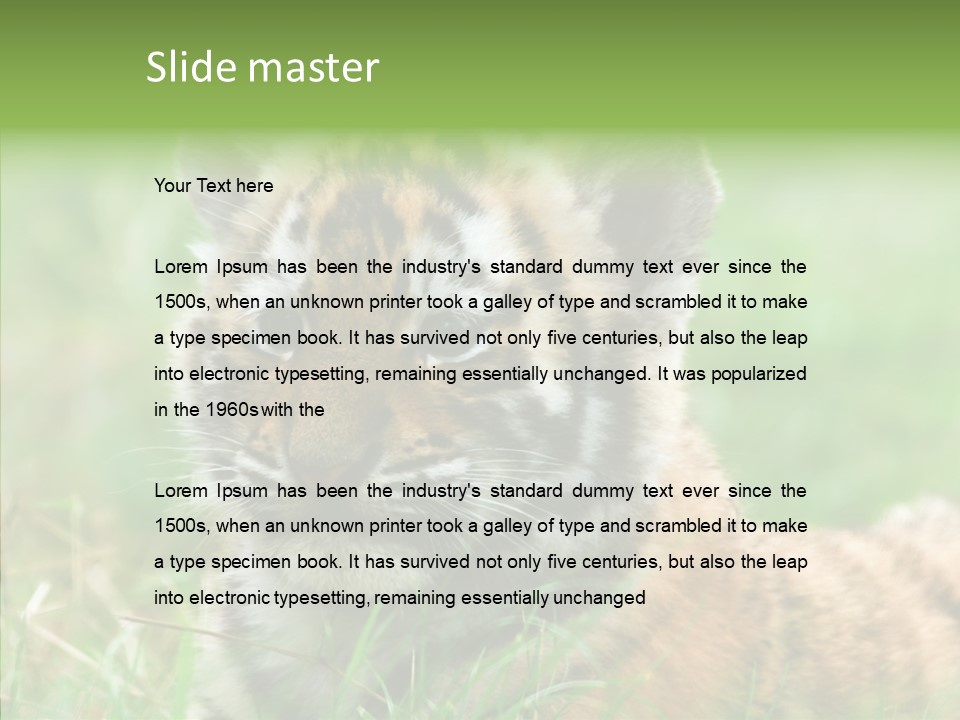 Tigris Nature White PowerPoint Template