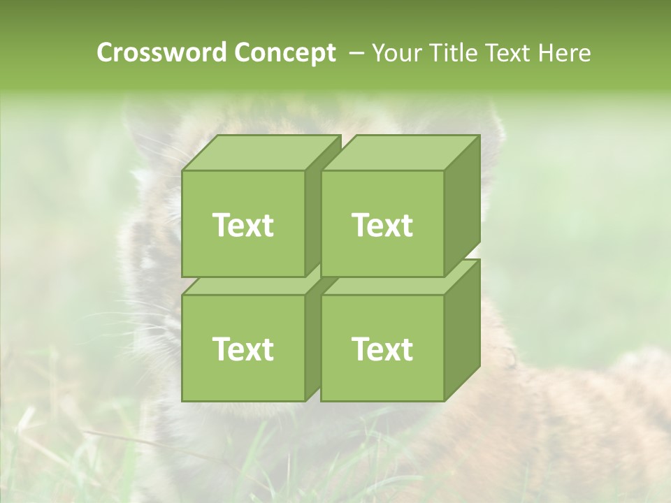 Tigris Nature White PowerPoint Template