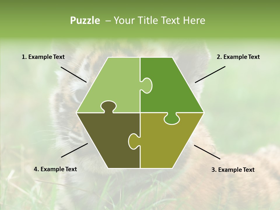 Tigris Nature White PowerPoint Template