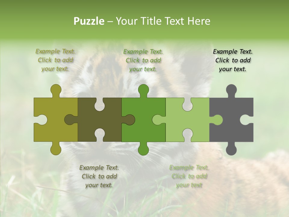 Tigris Nature White PowerPoint Template