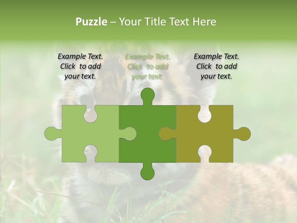 Tigris Nature White PowerPoint Template