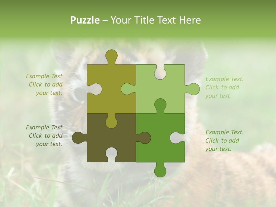 Tigris Nature White PowerPoint Template