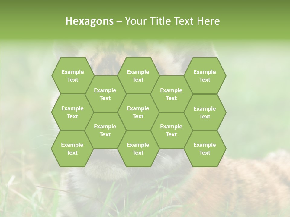 Tigris Nature White PowerPoint Template