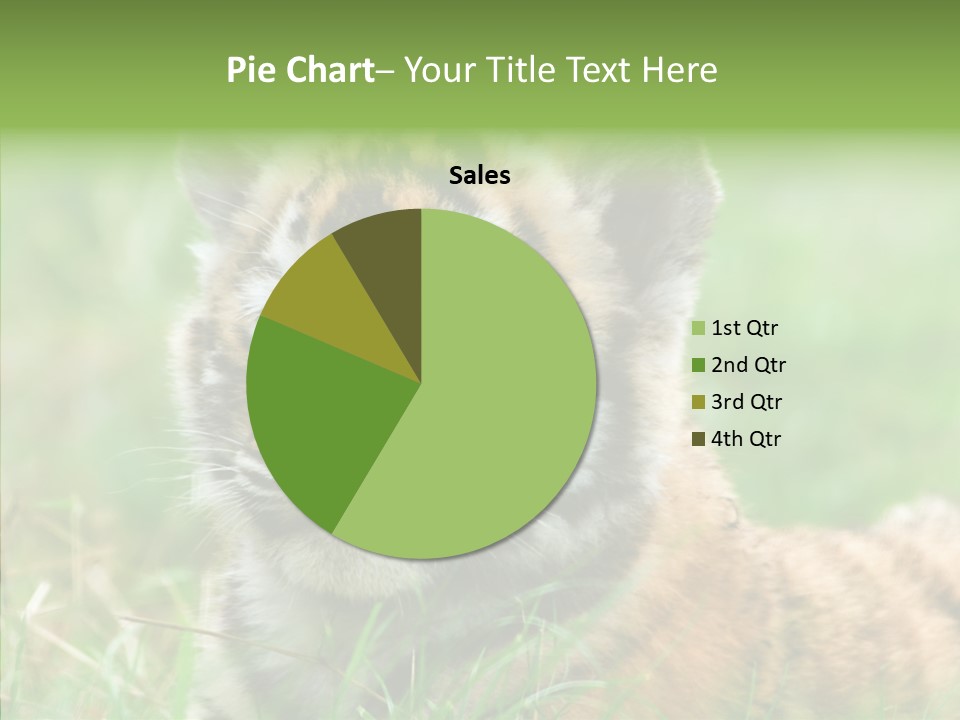 Tigris Nature White PowerPoint Template