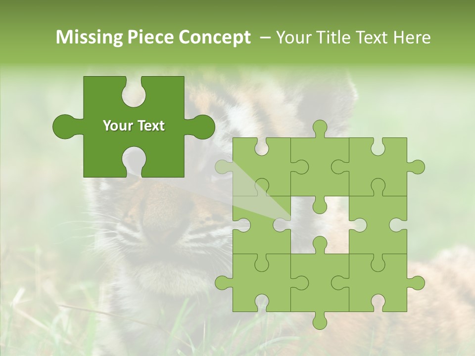 Tigris Nature White PowerPoint Template