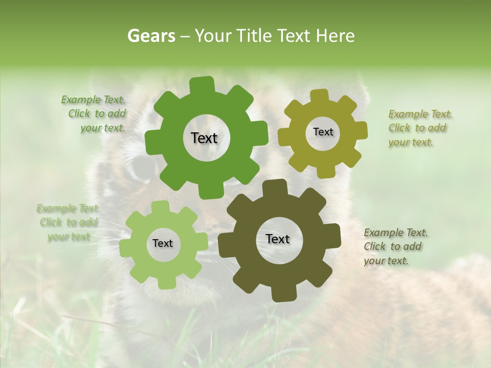 Tigris Nature White PowerPoint Template